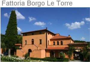 Borgo Le Torre Weingut bei Montecarlo