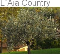 L Aia Country Holidays